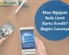 Cara Menaikan Limit Kartu Kredit BCA