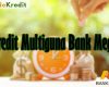 Kredit Multiguna Bank Mega