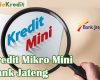 Kredit Mikro Dini Bank Jateng