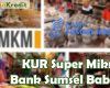 KUR Super Mikro Bank Sumsel Babel