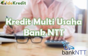 Kredit Multi Usaha Bank NTT