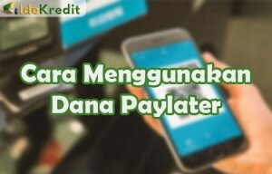 Cara Menggunakan Dana Paylater