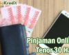Pinjaman Online Tenor 30 Hari