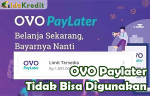 OVO Paylater Tidak Bisa Digunakan