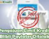 Pengajuan Blibli Paylater Ditolak