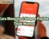 Shopee Paylater Tidak Muncul