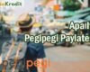 Apa Itu Pegipegi Paylater