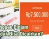 Shopee Pinjam Tidak Bisa Dicairkan