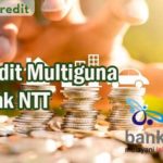 Kredit Multiguna Bank NTT