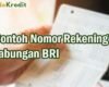 Contoh Nomor Rekening BRI