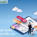 Cara CeK Saldo Asuransi BRI Life
