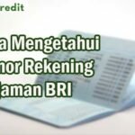Cara Mengetahui Nomor Rekening Pinjaman BRI